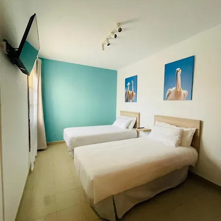 Laika 普拉亚布兰卡