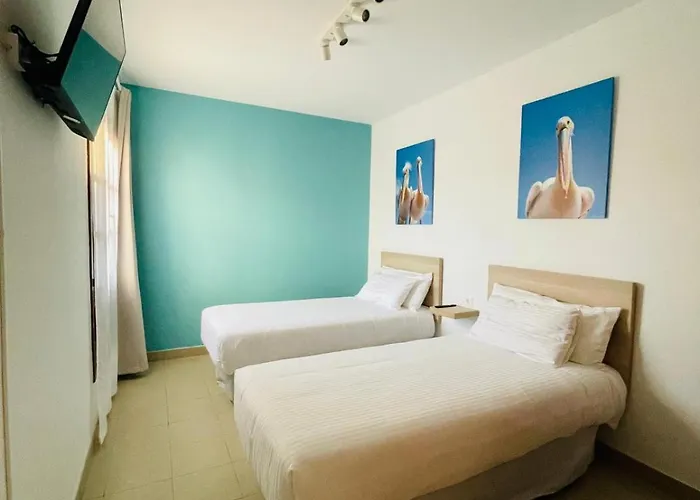 Laika بلايا بلانكا